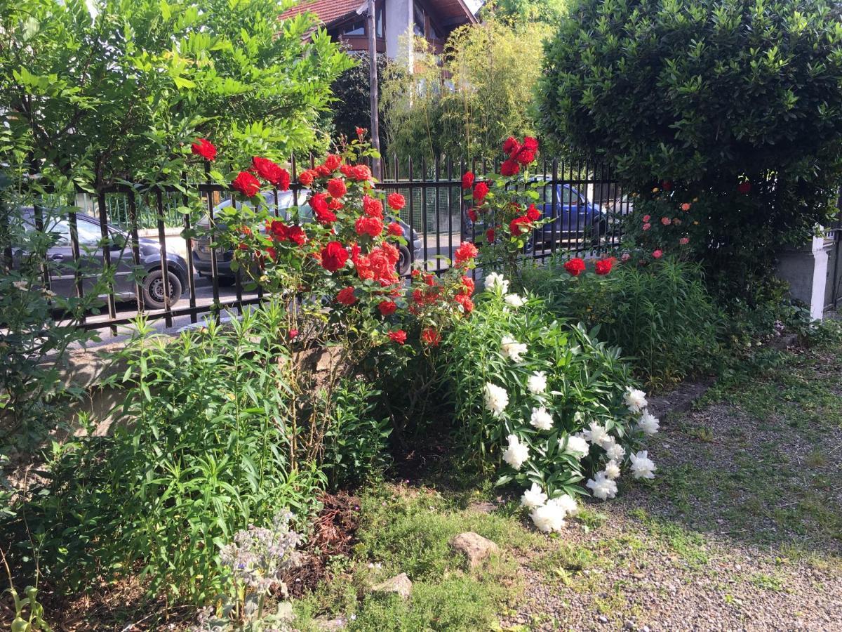 Le Catalpa - Centre Ville, Jardin & Parking! Annecy Bagian luar foto